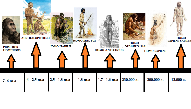 Resultado de imagen de La evolución de los seres humanos
